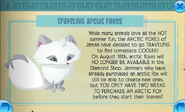 Traveling arctic foxes