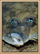 Flounder.png