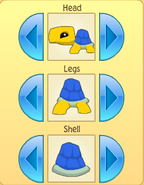 Pet turtle patterns 1