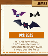 Pet Bats 2018 jamaa journal