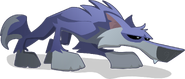 Dark blue wolf