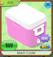 Beach Cooler 6