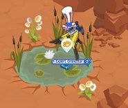 A blue shard in a revived oasis.