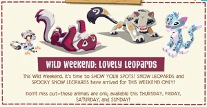 Lovely-leopards-jamaa-journal.PNG
