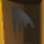 Pet Bat Accessories Bat Wings.png