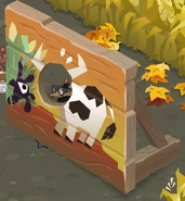 The bull-themed photo panel