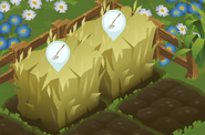 A Straw harvesting location after Jammers have hopped to make it grow.