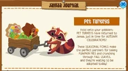 The Pet Turkeys mentioned in the Jamaa Journal in 2018.