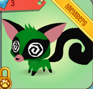 The Pet Sugar Glider sold in the Diamond Shop.