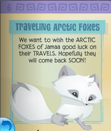 Arctic foxes have left