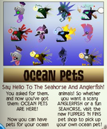 Jamaa-Journal Vol-047 Ocean-Pets