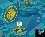 Bubble Trouble Dolphin Passage