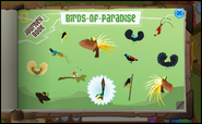 Completed Journey Book in Paradise Party