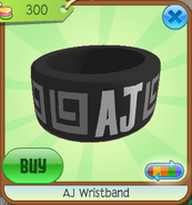 AJ Wristband (8)