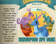 An advertisement that Kangaroos returned