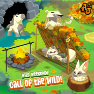 An advertisement for the Call of the Wild sale in The Daily Explorer.