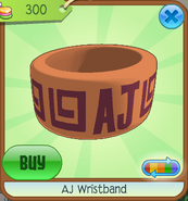 AJ Wristband (6)