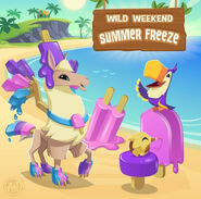 An advertisement for the Summer Freeze sale in The Daily Explorer.