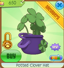 ☆*JAM CLOVER☆*。 250?cb=20170317004810