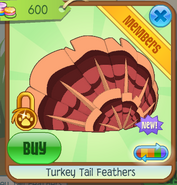 Turkey Tail Feathers 2