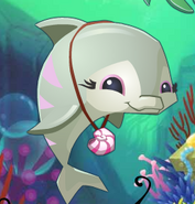 This picture of a Dolphin used to appear on the old home page of Animal Jam Classic