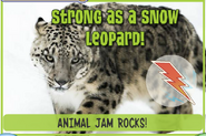 Snowleopardjag