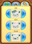 Bearfeatures2.png (50 KB)