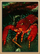 Lobster.png