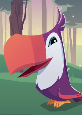 Toucan purchasing animal