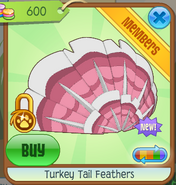 Turkey Tail Feathers 4