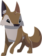 Coyote graphic thing
