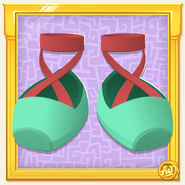 Rare Ballet Shoes