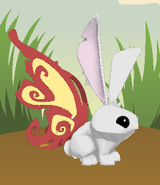 The Mystical Faerie Wings look like an unavailable color of the Faerie Wings when worn on a bunny