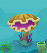 A Chomper Clam (Found in the Ocean Adventures)