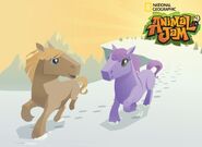 Horses animaljam