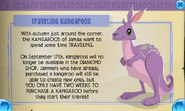 Jamaa-Journal Traveling-Kangaroos