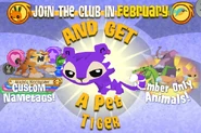 Monthly Member February 2013.png (399 KB) February 2013