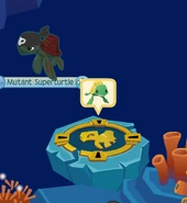 Turtles-only Passage