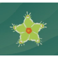 A spring green sea star