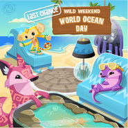 An advertisement for a last chance to get the World Ocean Day items in The Daily Explorer.