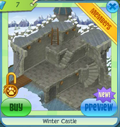 Winter Castle