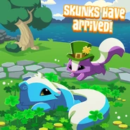 20190307 AJ LuckySkunkHasArrived-01