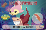 Ocean Adventure!