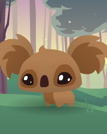 Pet Koala Animal Jam Classic Wiki Fandom