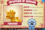 Pet golden poney adopt