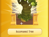 Boomseed Tree