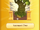Boomseed Tree