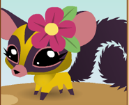 Example of a sugar glider when it has been to the Pet Stop.