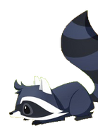 Greyraccoon.png (34 KB)