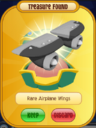 Black Rare Airplane Wings